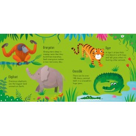 Usborne: Animal Matching Games