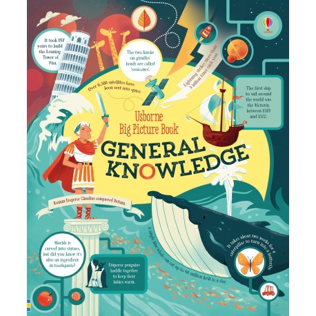 Usborne: Big Picture Book of General Knowledge