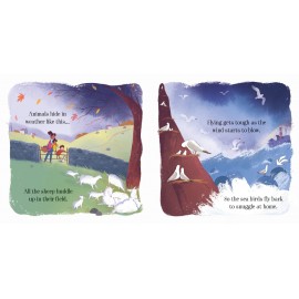 Usborne Little Board Books:  The Stormy Day 