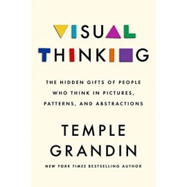 Visual Thinking : The Hidden Gifts of People Who Think in Pictures, Patterns and Abstractions