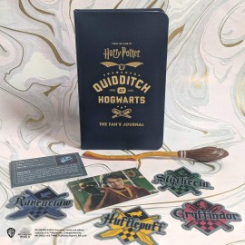 Harry Potter Quidditch at Hogwarts : The Player's Kit