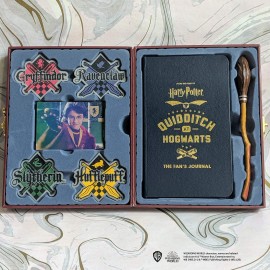 Harry Potter Quidditch at Hogwarts : The Player's Kit
