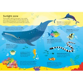 Usborne: Book and Jigsaw Oceans 