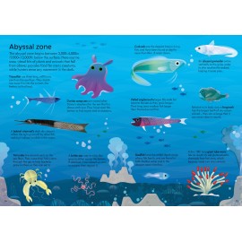 Usborne: Book and Jigsaw Oceans 