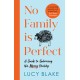 No Family Is Perfect : A Guide to Embracing the Messy Reality