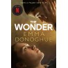 The Wonder: Now a major Netflix film