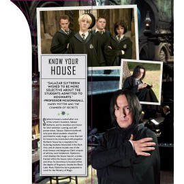 Harry Potter: Slytherin Magic - Artifacts from the Wizarding World : Slytherin Magic - Artifacts from the Wizarding World