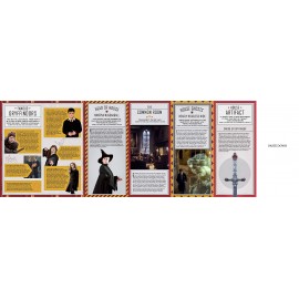 Harry Potter: Gryffindor Magic - Artifacts from the Wizarding World : Gryffindor Magic - Artifacts from the Wizarding World