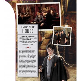 Harry Potter: Gryffindor Magic - Artifacts from the Wizarding World : Gryffindor Magic - Artifacts from the Wizarding World