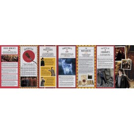 Harry Potter: Gryffindor Magic - Artifacts from the Wizarding World : Gryffindor Magic - Artifacts from the Wizarding World