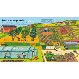 Usborne: Look Inside Food 