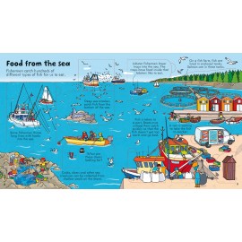 Usborne: Look Inside Food 