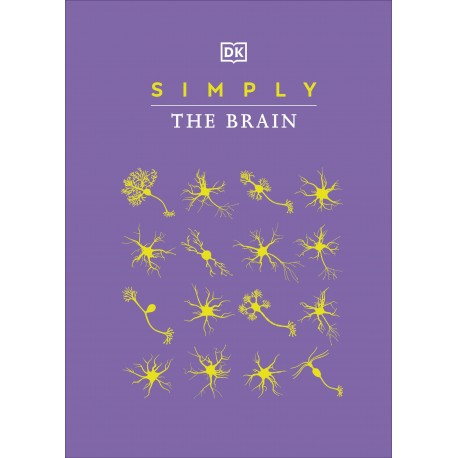Simply The Brain