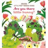 Usborne: Little Peep-Through Books : Are you there little Bunny