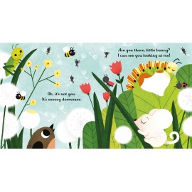 Usborne: Little Peep-Through Books : Are you there little Bunny