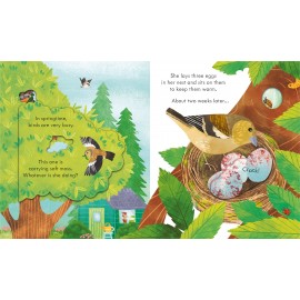 Usborne: Peep Inside Springtime