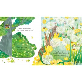 Usborne: Peep Inside Springtime