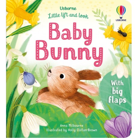 Usborne: Little Lift and Look Baby Bunny 