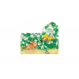 Usborne:  Little Lift and Look Baby Bunny 