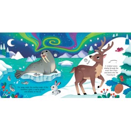 Usborne Sound Books: Wild Animals Sound Book