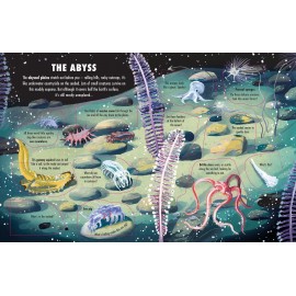 Usborne: Extreme Planet: The Deep