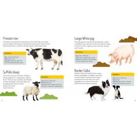 Usborne Book and Jigsaw Farm