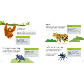 Usborne Book and Jigsaw Wild Animals 