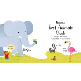 Usborne: First Animals Book