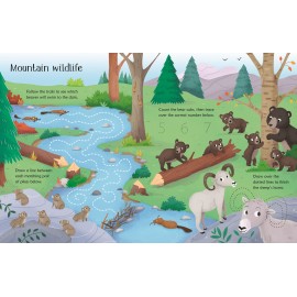 Usborne: Wipe-Clean Nature Activities