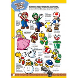 Super Mario Encyclopedia: The Official Guide to the First 30 Years