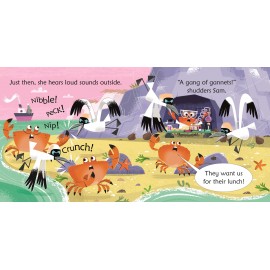 Usborne Phonics Reders:  Crab in a lab 