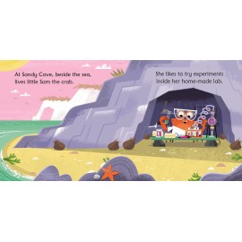 Usborne Phonics Reders:  Crab in a lab 