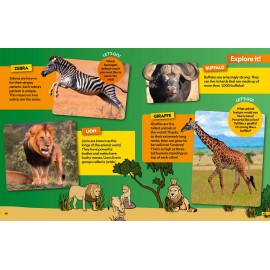 National Geographic Kids: Animals Find it! Explore it!