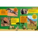 National Geographic Kids: Animals Find it! Explore it!