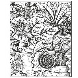 Usborne: Garden Magic Painting Book