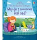 Usborne Lift - The - Flap: Very First Questions & Answers: Why do I (sometimes) feel sad?