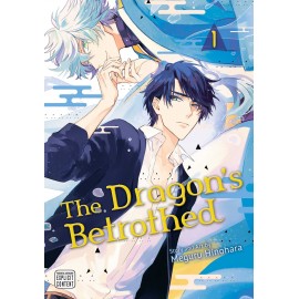 The Dragon's Betrothed, Vol. 1