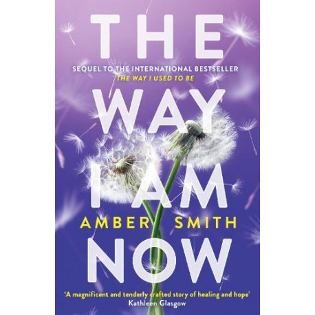 The Way I Am Now - The Way I Used to Be 