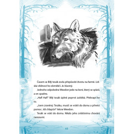Bílý tesák / White Fang A1/A2
