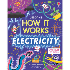 Usborne: How It Works: Electricity 