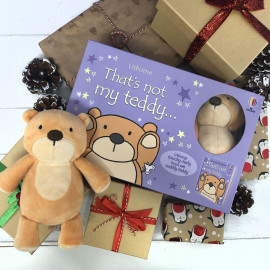 Usborne(Usborne Touch-and-Feel Book): That's Not My Teddy...book and toy