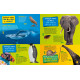 National Geographic Kids: Would you rather? Animals: A fun-filled family game book