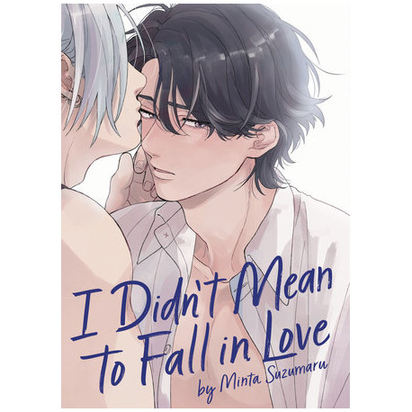I Didn't Mean to Fall in Love I Didn't Mean to Fall in Love