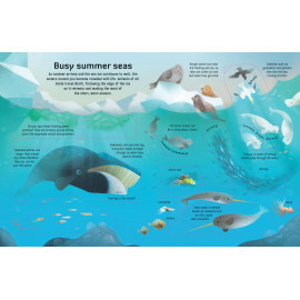 Usborne: Extreme Planet: Journey Across The Arctic