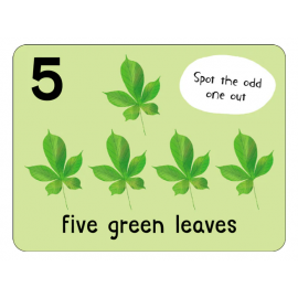 Lots to Spot Flashcards: Nature!