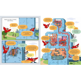 Usborne Book of the Body and How it Works 