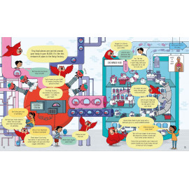 Usborne Book of the Body and How it Works 