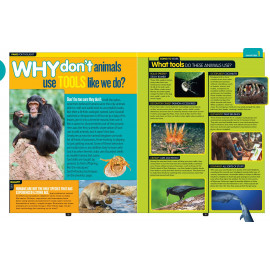 National Geographic Kids Why Not?: Over 1,111 Answers to Everything 