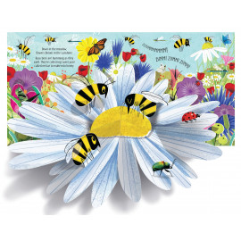 Usborne: Pop-up Nature