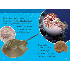 National Geographic Readers Prehistoric Sea Monsters (Level 2) 